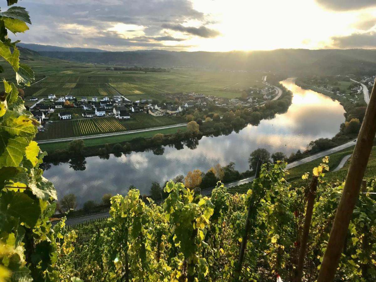 Appartement Weinlofts An Der Mosel Mit E10 Ladestation à Köwerich Extérieur photo