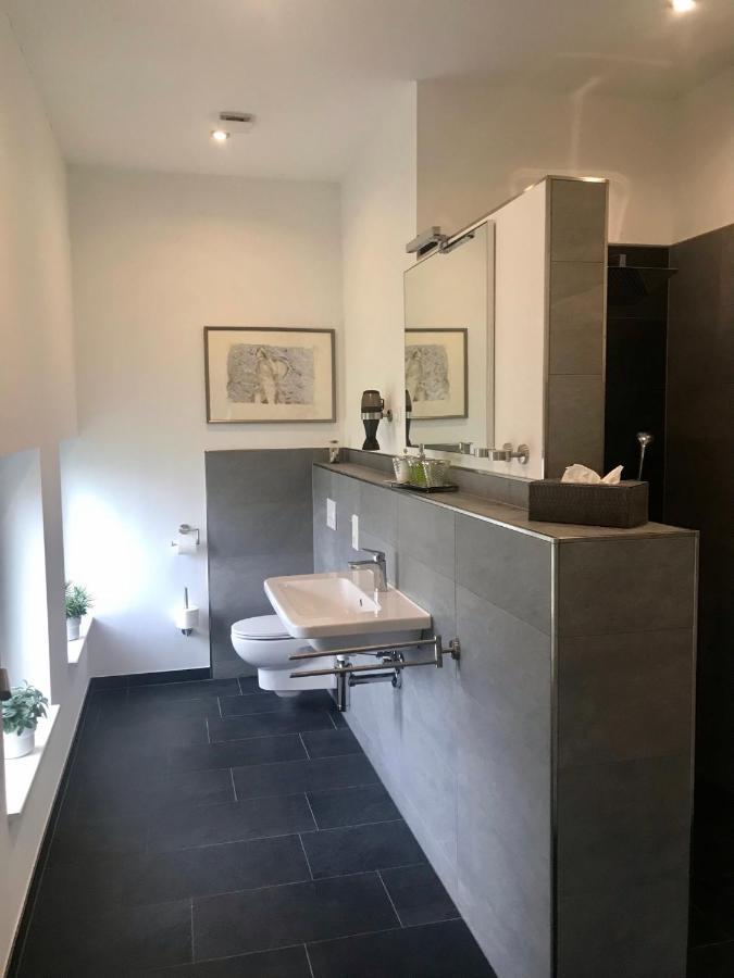 Appartement Weinlofts An Der Mosel Mit E10 Ladestation à Köwerich Extérieur photo